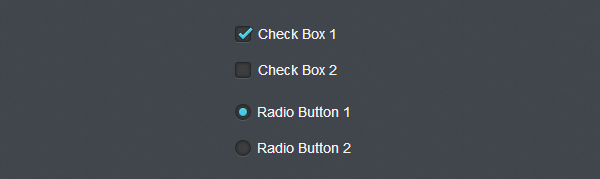 Стилизация элементов checkbox и radio button на CSS3